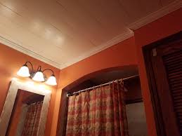 Dentil design on this one is a nice feature. Bathroom Ceiling Faux Shiplap Ryobi Nation Projects