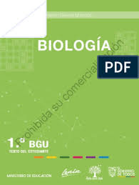 We did not find results for: Texto Verde 1bgu Bio F2 Pdf Abiogenesis Vida