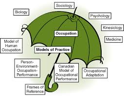 Models Of Practice And Frames Of Reference Nurse Key