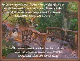 An American Indian Legend Says When A Human Dies There Is A Bridge They Must Cross To Enter Into Heaven At T Indian Animals Indian Legends Dog Heaven Quotes