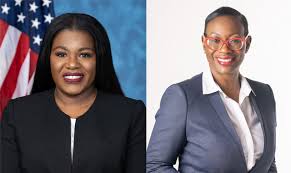 An american politician from ohio, nina turner served as state senator for ohio's 25th district as well as the minority whip in the ohio senate. Cori Bush And Nina Turner To Give Public Talk Mount Holyoke College