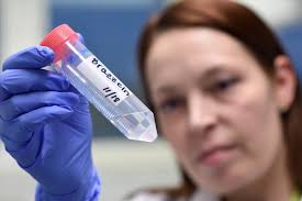 Image result for Pentadiplandra brazzeana