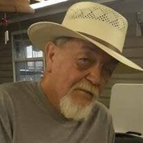 Albert Lewis Zumini Obituary (2025)