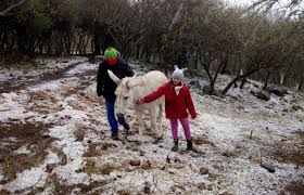 Ver más ideas sobre sierras, cordoba, san roque. Frio Y Nieve Un Manto Blanco Sorprendio En Las Sierras De Cordoba