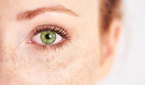 You can use all public domain images from this site for whatever you want, use it freely for personal and commercial use. Green Eyes The Trait Of Two Percent How Rare Are Green Eyes