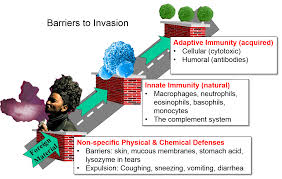 Defense Mechanisms