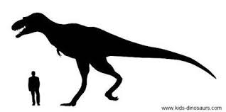 Dinosaur T Rex Facts Of Tyrannosaurus Rex Dinosaurs