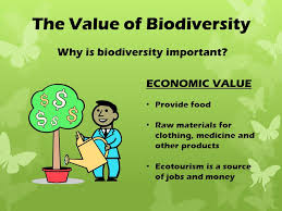 Value Of Biodiversity