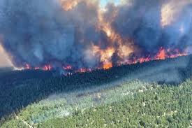 You can find information on fires that pose a significant safety risk, air quality, fire danger ratings and more. In 2021 Wildfires In B C Have Burned More Land Than All Of P E I Saanich News