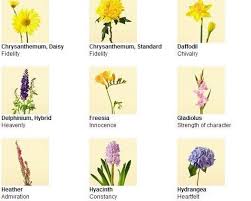 We did not find results for: N Miss Mandy M Flower Meanings