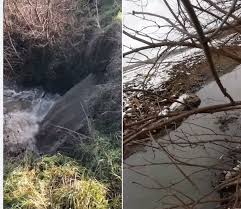 Locuitorii din zălău au cel puţin două variante legale să nu încheie contracte colective cu. Directorul Companiei De ApÄƒ SomeÈ™ SusÈ›ine CÄƒ DeversÄƒrile Apelor Menajere Din Canalizarea OraÈ™ului Direct In SomeÈ™ Pentru Efectuarea LucrÄƒrilor De IntreÈ›inere A Canalului Colector Nu Au Avut Nici Un Impact Asupra Mediului