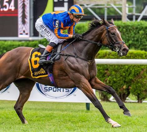 Survie (IRE) - Contender - 2026