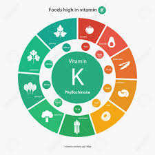 Foods High In Vitamin K Vitamin Content Of Foods Healthy Lifestyle And Diet Illustration Infographics With Food Icons Royalty Free Cliparts Vectors And Stock Illustration Image 53111761