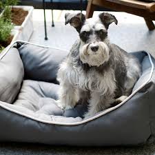 Why dogs chew their beds. Dog Beds Pet Craft Supply Co