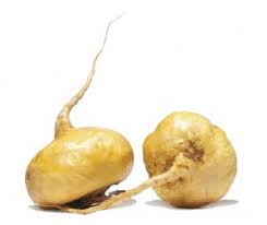 2,164 reviews scanned powered by. Best Maca Root Extract Supplier Ever Forever Bio