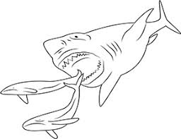 Ausmalbild Hai Jagt Fische Zum Ausdrucken