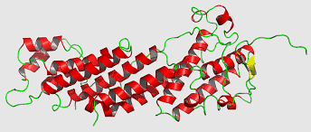 14.4: Secondary, Tertiary, And Quaternary Structure Of Proteins - Chemistry  Libretexts
