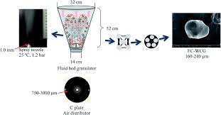 Citric acid is used in a variety of dishes including sherbets, pate de fruit, poached fruits (pears), and the cooking of artichokes sous vide. Improvements In Sticking Hygroscopicity And Compactibility Of Effervescent Systems By Fluid Bed Coating Rsc Advances Rsc Publishing
