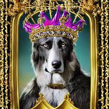 prompthunt: an majestic portrait of canine dog man, wearing a crown,  handsome, musculine, full body, fantasy, intricate, elegant, highly  detailed, on a throne of crystals, meesh, artgem, zeforge, anhes, honovy,  high detail,