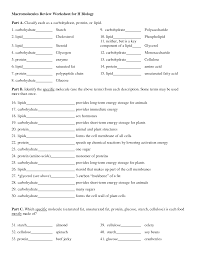 Which macromolecule(s) have the elements carbon, hydrogen, and oxygen? Macromolecules Worksheet 2 Macromolecules Photosynthesis Worksheet Biology Worksheet