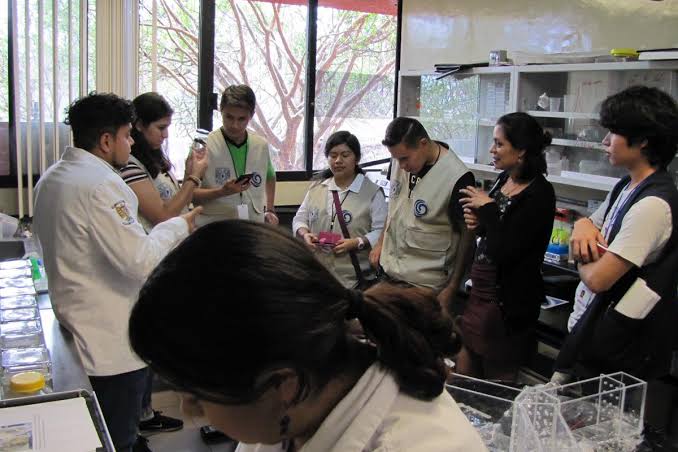 Laboratorio de innovación tecnológica de NovaMind.