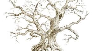 Maybe you would like to learn more about one of these? Trik Lolos Tes Psikotes Gambar Pohon Jadiberkah Com