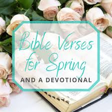 The anemone typically has six petals which close in the evening and reopen with the morning light. 28 Bible Verses For Spring And A Devotional Gathered Again