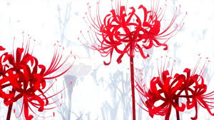 We did not find results for: The Spookening Unwritten Anime Rules 9