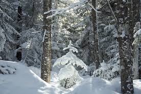 images?q=tbn:ANd9GcR4mogFwsoJSKs4WhpNVXTFsisie8-Wur723S83n9n3PBX3-QaDYw