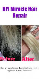 Diy Miracle Hair Repair Recipe Hair Repair Diy Hair Repair Hair Growth Treatment