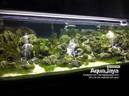 Pelangi aquascape berdiri sejak beberapa tahun yang lalu. Portfolio Aquajaya Jasa Design Aquascape Indonesia