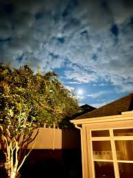 Shawn Proffitt (@shawn.h.proffitt) • Instagram photos and videos