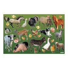 Giant Realistic Farm Animal Sticker Scenes Animal Stickers Farm Animals Animals