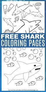 These Free Printable Shark Color Pages Are Perfect For Shark Week Or Anytime Four Different Shark Color Shark Coloring Pages Shark Week Kids Shark Week Crafts