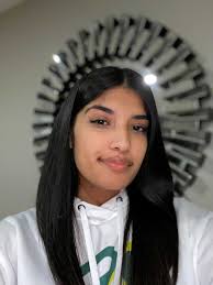 Team:Lethbridge HS/Team