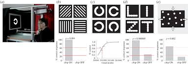 Subretinal electronic chips allow blind patients to read letters and combine them to words. Subretinal Electronic Chips Allow Blind Patients To Read Letters And Combine Them To Words Proceedings Of The Royal Society B Biological Sciences