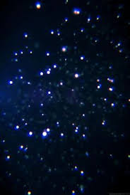 25 gambar pohon jahe kartun pohon jahe gambar unduh gratis grafik 400863818 format ahmedatheism mewarnai gambar jahe gambar di 2020 gambar kartun ilustrasi kartun. 8 Ide Gambar Gambar Bintang Jatuh Wallpaper Kartun Hd