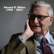 e.o. wilson's "scientist" book review