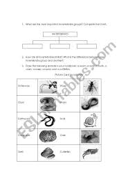 Invertebrates Classification Esl Worksheet By