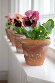 Do You Love Pansies As Much As I Do I Must Buy Some This Week Enjoy Your Sunday Via Pansies Flower Pots Planting Flowers