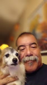 What is the best way to cope with the loss of a Pitbull?