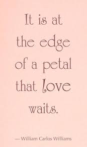 773,585 likes · 163 talking about this. It Is At The Edge Of A Petal That Love Waits Romantic Quotes Quotes True Love Quotes