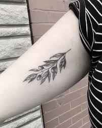 Justinechoart Delicate Olive Branch Tattooapprentice Olivebranchtattoo Olivebranch Botanicaltattoo Olive Tattoo Olive Branch Tattoo Tattoos