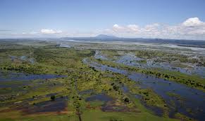 Facebook näyttää tietoja, joiden avulla ymmärrät sivun tarkoitusta paremmin. Mozambique S Zambezi Delta Extended To Cover 3 000 Square Kilometres Ramsar