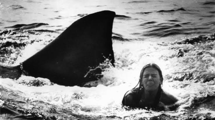 Jaws 2: A Movie Where the Novelization Was Better | Den of Geek
