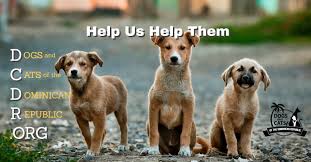 Check spelling or type a new query. Good Karma Animal Rescue Of Mn Home Facebook