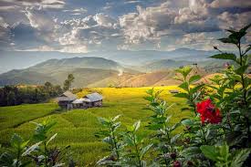 Für thailand ist die beste reisezeit zwischen november und februar, in indonesien hingegen zwischen mai und oktober. Thailand Die Beste Reisezeit Fur Ihre Thailand Rundreise
