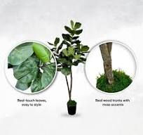 CYPRESS & ALABASTER Handmade 5 ft. Artificial Natural Fiddle Leaf Fig Tree in Home Basics Plastic Pot Made with Real Wood and Moss Accents 38240