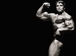 We have a massive amount of if you're looking for the best arnold schwarzenegger bodybuilding wallpapers posters and pictures hd then wallpapertag is the place to be. Arnold Conquer Wallpaper Bodybuilding Muscle Arm Physical Fitness Bodybuilder 401212 Wallpaperuse