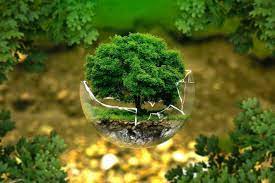 22 kwietnia obchodzimy światowy dzień ziemi. 7d7miyagv57ccm